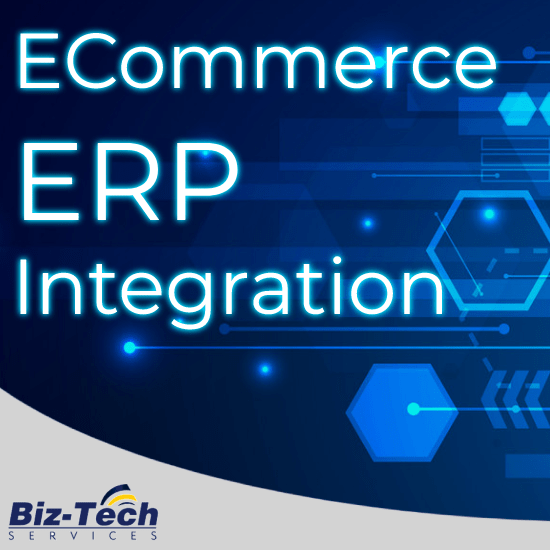 eCommerce ERP Integration Solutions By Biz-Tech Services